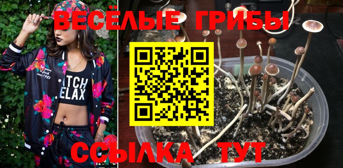 Псилоцибиновые грибы прущие грибы  Вход с VPN  Галлюциногенные грибы Magic Shrooms  Курган 