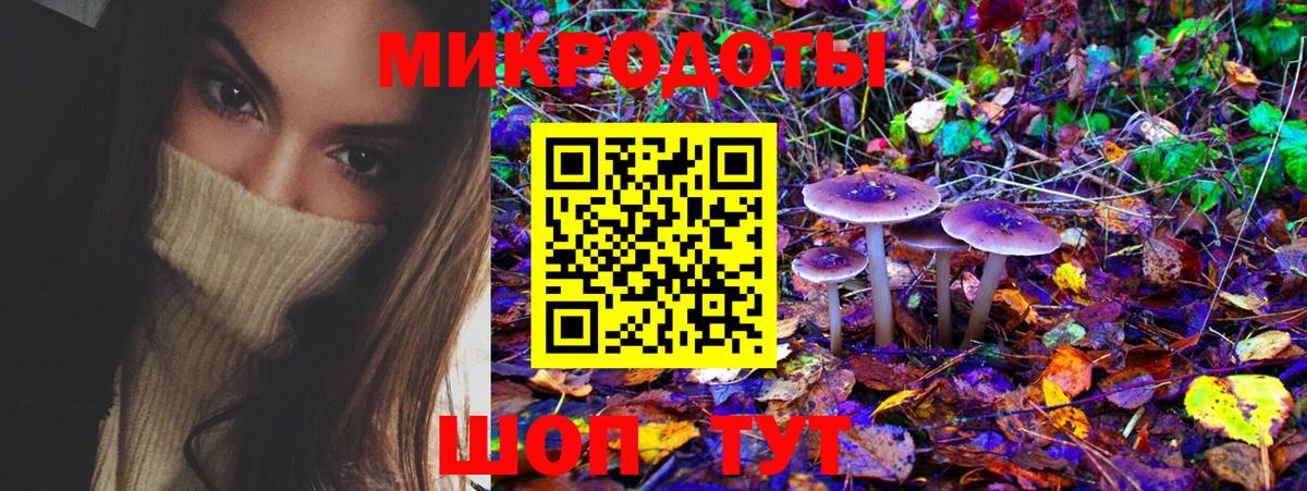 Псилоцибиновые грибы Cubensis Курган