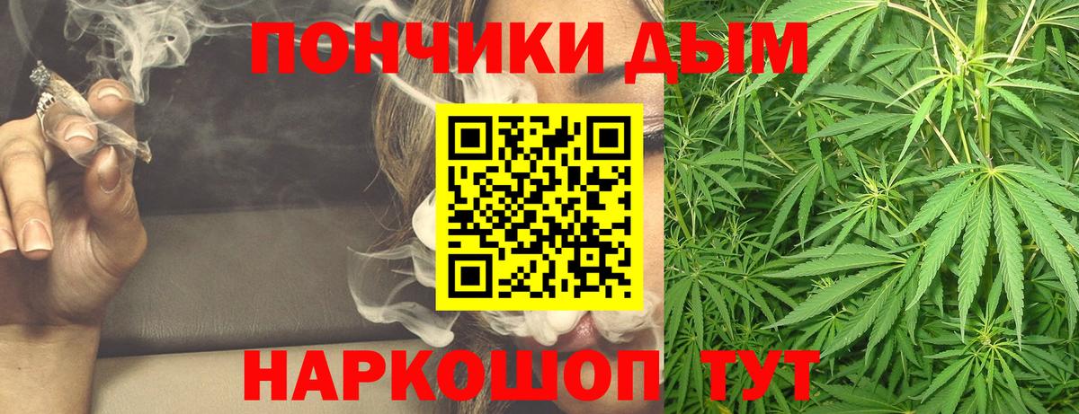 Шишки марихуана сатива Курган